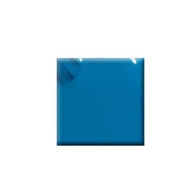 Colorbar Vegan Nail Lacquer